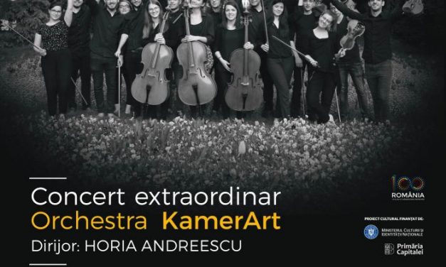 EVENIMENTE CARITABILE  ÎN FESTIVALUL NAȚIONAL DE TEATRU 2018