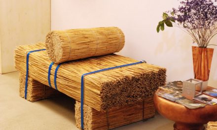 Design contemporan, cu resurse si meșteșuguri deltaice: DeltaCraft 2018