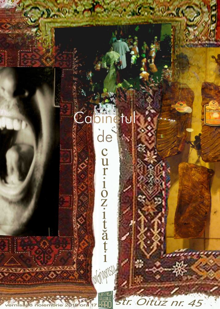 Expoziție Ion Grigorescu „Cabinetul de curiozităţi” @ Galeriile Karo Bacau