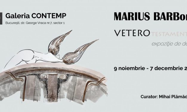 Expoziție Marius Barb „VETEROtestamentar” @ Galeria CONTEMP, București