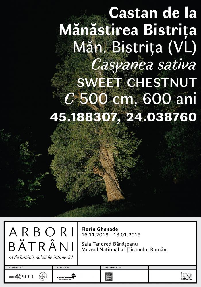 Expoziția de fotografie „Arbori Bătrâni” a artistului Florin Ghenade @ Muzeul Național al Țăranului Român
