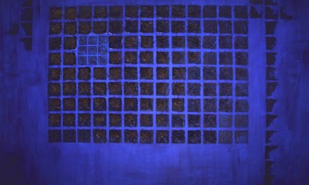 Expoziția „Marked Territories” a artistei Ile Ștefi la Bruxelles   