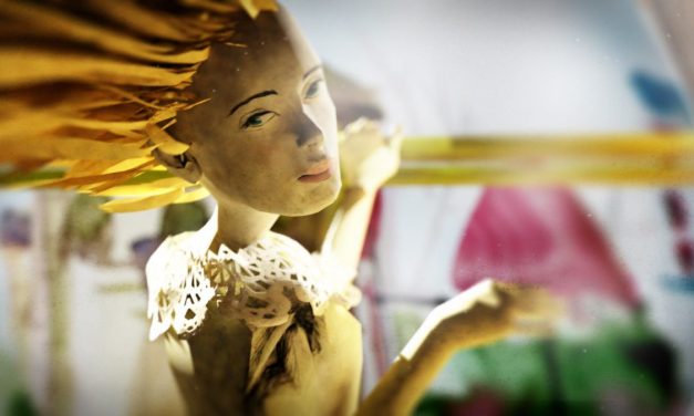 Splendida Moarte Accident – film
