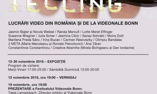 STORY TELLING – Lucrări video din România și de la Videonale Bonn