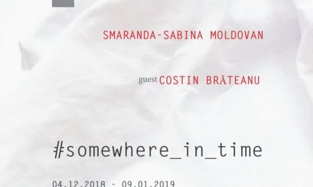 #SOMEWHERE_IN_TIME / Smaranda Moldovan & Costin Brateanu @ Galeria Primăriei Timișoara