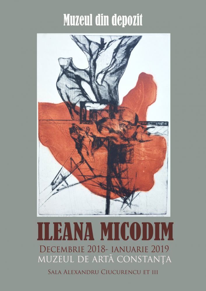 Expoziție Ileana Micodin @ Muzeul de Artă Constanța