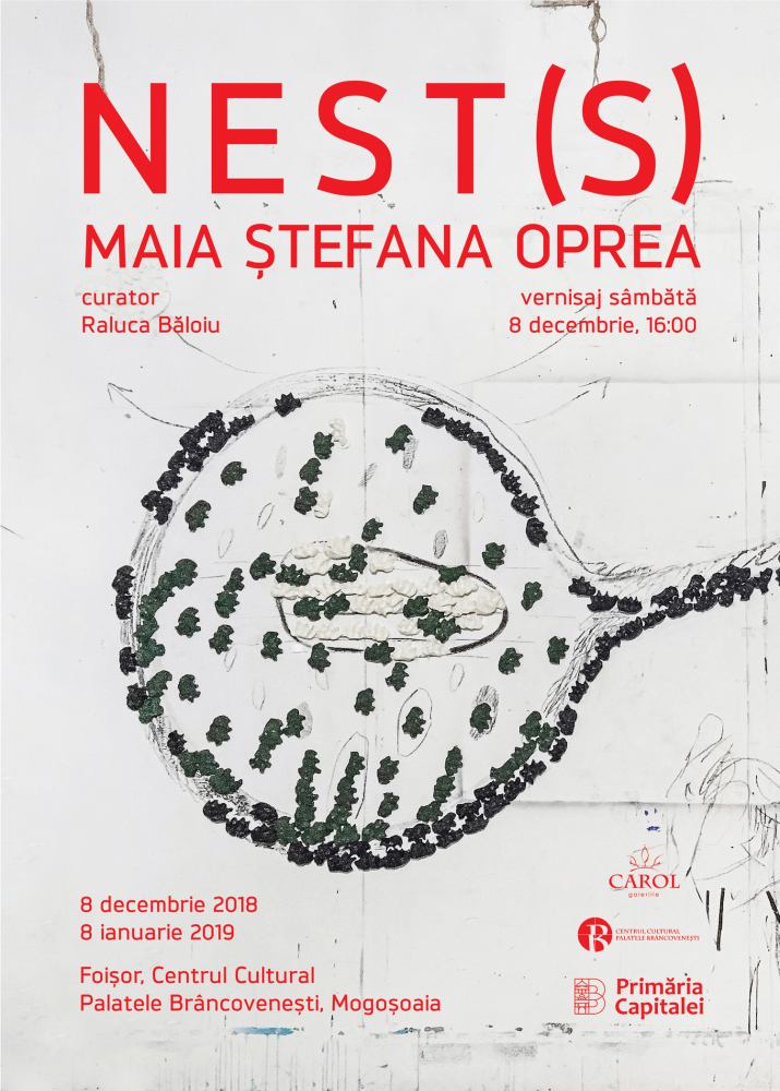 Maia Ștefana Oprea „NEST(S)” @ Centrul Cultural ”Palatele Brâncovenești de la Porțile Bucureștiului”
