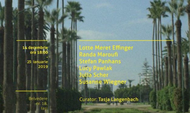 Videonale On Tour ajunge în Iași, la Borderline Art Space