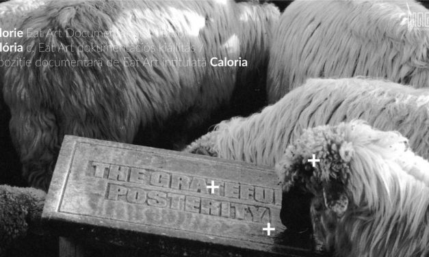 CALORIA Expoziție documentară Eat Art + cină @ MAGMA, Spațiul Expozițional de Artă Contemporană, Sfântu Gheorghe