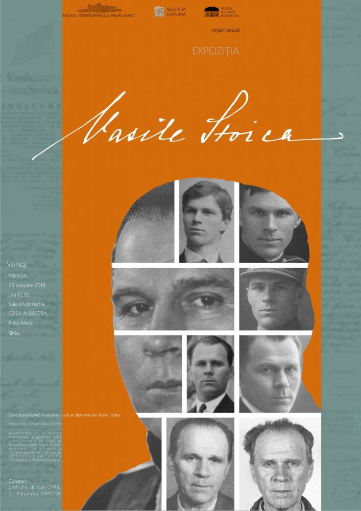 Expoziția Vasile Stoica @ Casa Albastră, Sala Multimedia, Muzeul Național Brukenthal