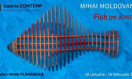 Expoziţie Mihai Moldovanu “Fish on a Wire” @ Galeria CONTEMP, București
