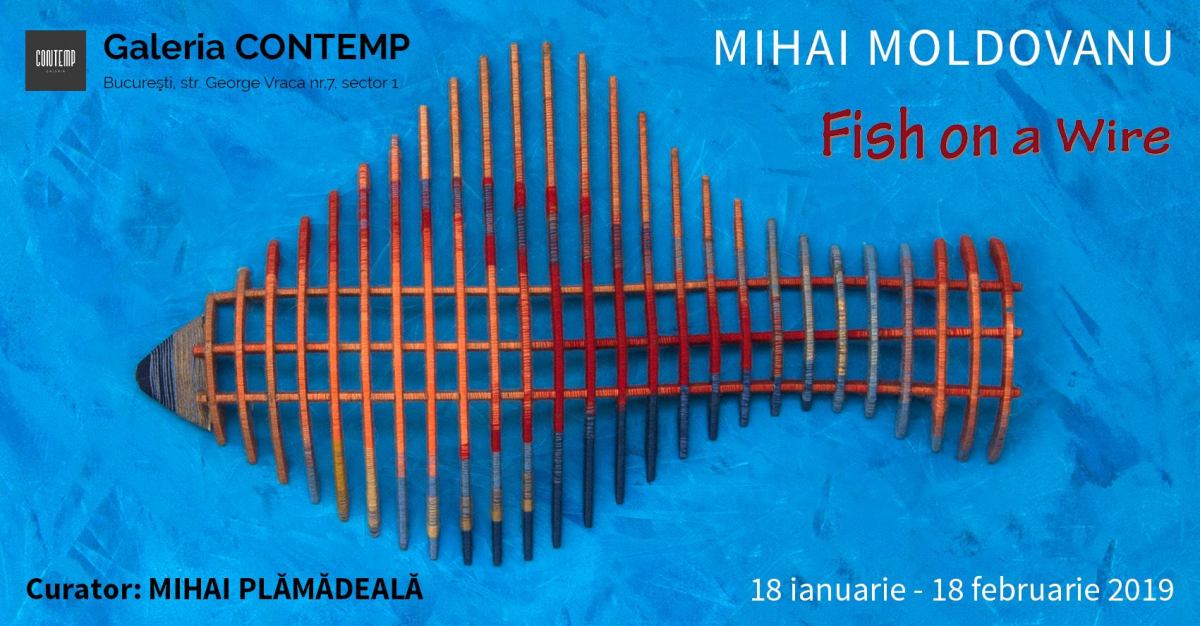 Expoziţie Mihai Moldovanu “Fish on a Wire” @ Galeria CONTEMP, București