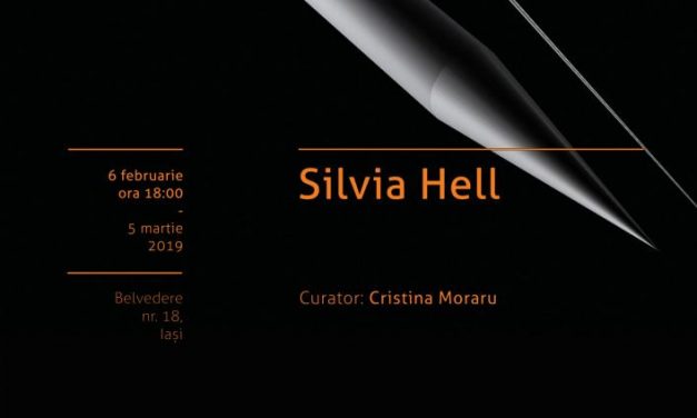 Silvia Hell expune în premieră la Borderline Art Space﻿, Iași