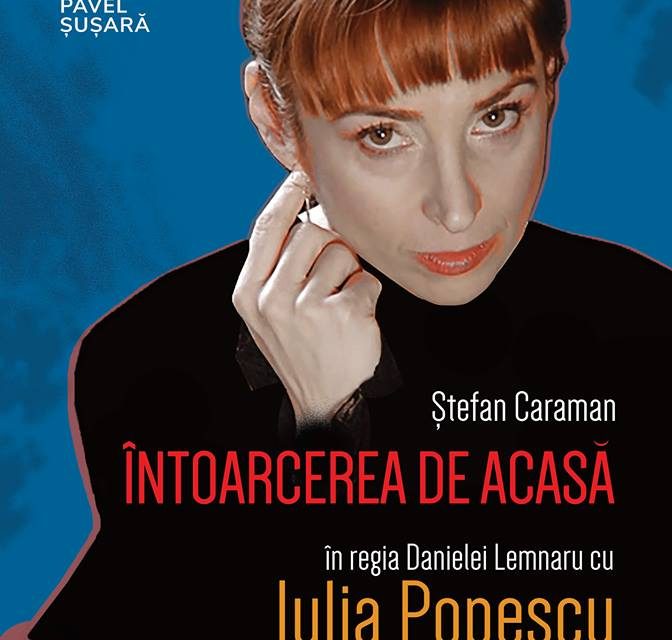 Întoarcerea de acasă @ MAMCO Pavel Șușară