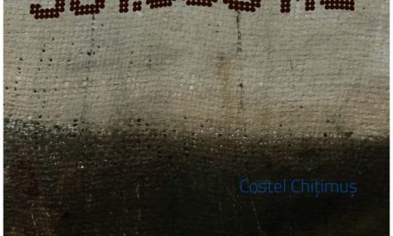 Expo Maraton 2019: Chițimuș Costel, anul III, pictură – 361.068 ha / Hîngan Andrei, anul II, foto-video – Im-Previzibil @ Galeria Casa Matei, Cluj-Napoca
