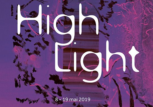 Expoziție „High Light” Pictură: Ioana ANTONIU, ELIAN, Andor KŐMIVES, Radu PULBERE, Radu ȘERBAN @ Muzeul de Arta Cluj-Napoca