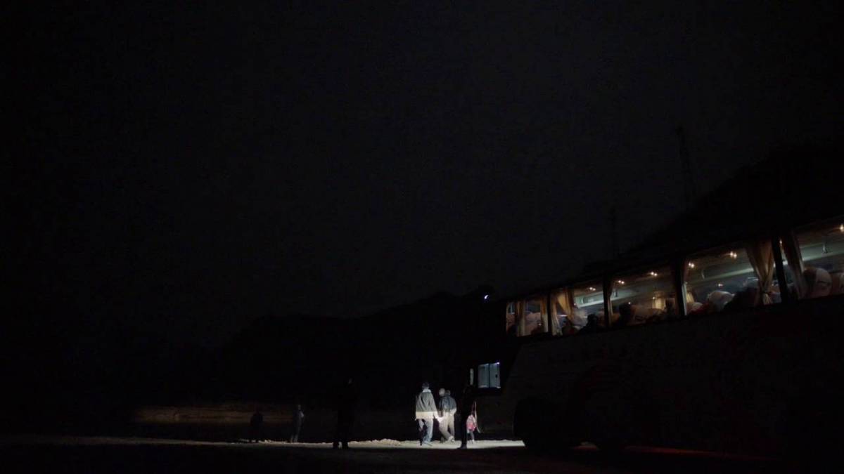 An Elephant Sitting Still