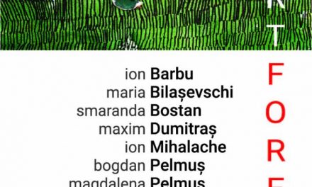 artFORest ,,NO LIMIT’’V, 2019, editia a-XXX-a, – Sîngeorz-Băi