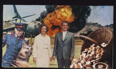 Expozitie Ion Bârlādeanu @ Galeria Új Kriterion, Miercurea Ciuc