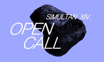În căutare de artiști: Asociația SIMULTAN a lansat apelul pentru lucrări video în cadrul festivalului