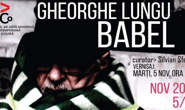 Gheorghe Lungu – Babel @ MAMCO Pavel Susara