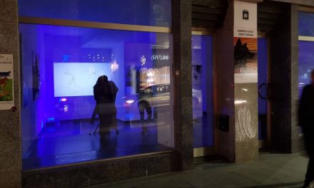 Gabriela Culic & Cristi Farcas – Lupii @ Galeria 1001 Arte