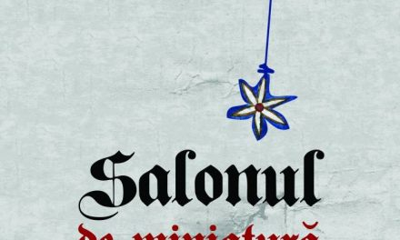 Salonul de miniatura @ MAMCO Pavel Șușară