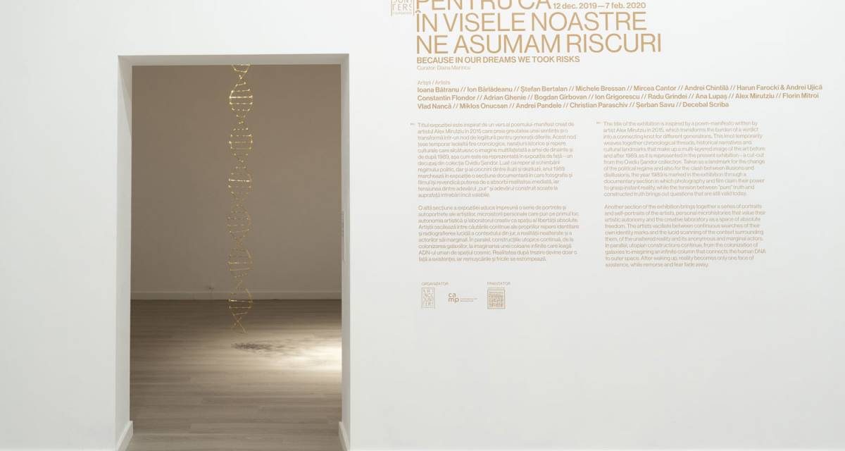 Expoziție „Pentru că în visele noastre ne asumam riscuri” @ Fundația Art Encounters, Timișoara