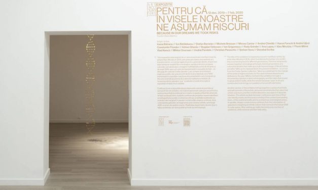 Expoziție „Pentru că în visele noastre ne asumam riscuri” @ Fundația Art Encounters, Timișoara