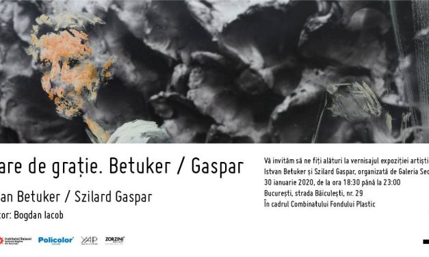 Expoziția Stare de grație. Betuker / Gaspar @ Galeria Sector 1, București