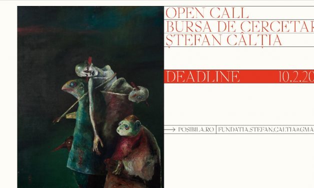 Open Call / Bursa Ștefan Câlția