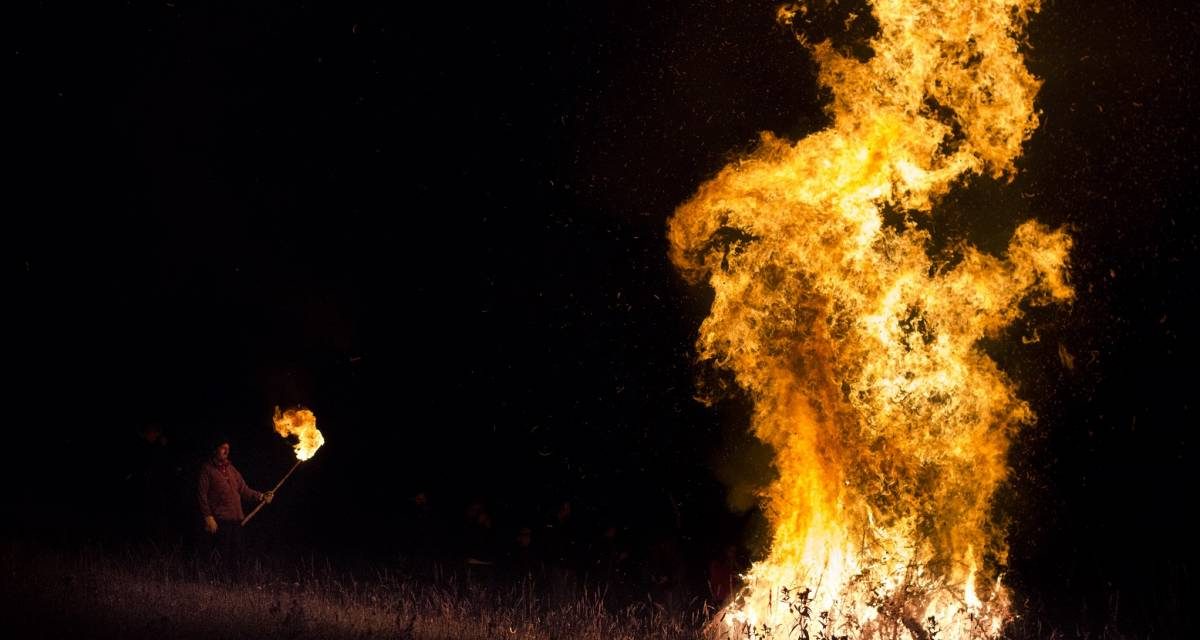 Grupul NOIMA la Art Quarter Budapesta