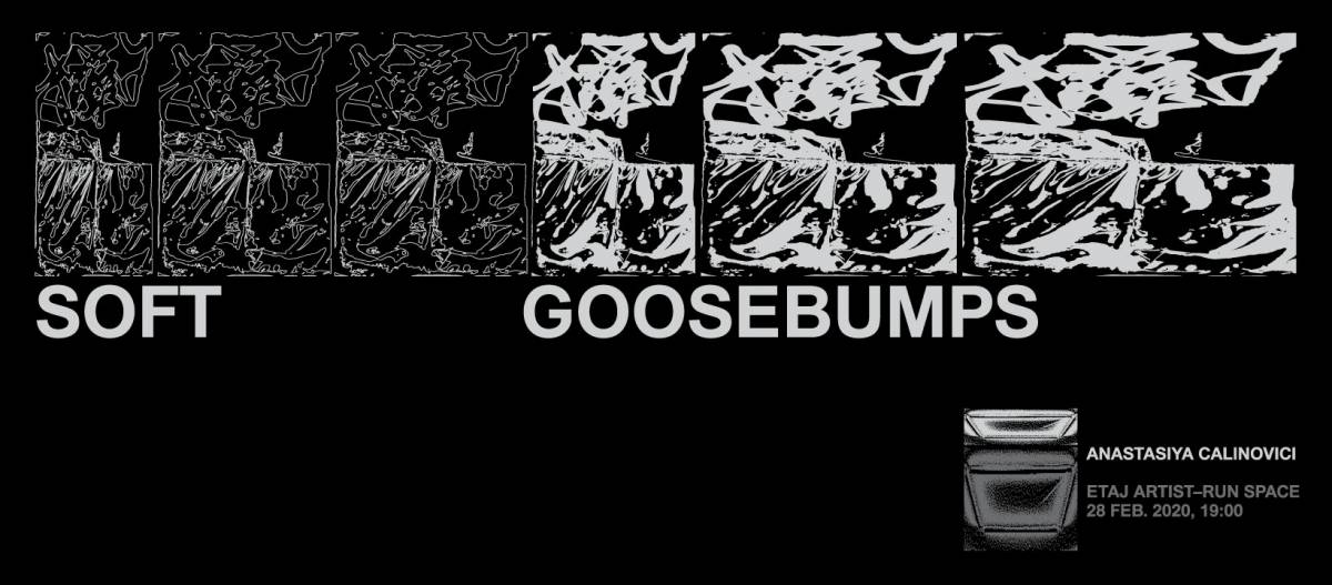 Expoziție Anastasia Calinovici, “Soft Goosebumps” @ ETAJ – artist run space, București