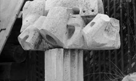 Sculptorița Maria Cocea, 1971
