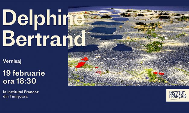 Vernisaj & artist talk cu Delphine Bertrand