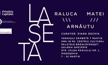 Expoziţia instalație „Laseta” de Raluca și Matei Arnăutu @ Centrul Cultural Palatele Brâncovenești, Mogoșoaia