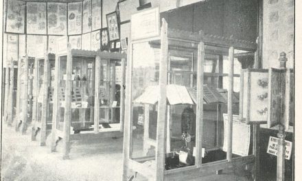 Interioare instituţionale (aşezăminte spitaliceşti)