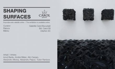 Expoziția online „Shaping Surfaces” @ Galeriile Carol