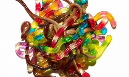 Exclusiv în România – filmul colectivului austriac DARUM în cadrul „Performing Austria – spectacolul timpului nostru”