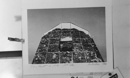 Wanda Mihuleac, 1977