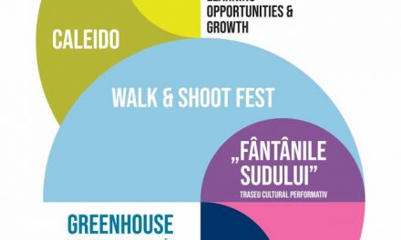 „Dialogul intercultural și creșterea accesului publicului la cultură” – prezentarea proiectelor Fundației Amfiteatru 2020 – 2021