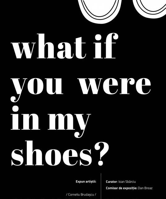 Expoziție „What if you were in my shoes?” @ Muzeul de Artă Cluj-Napoca