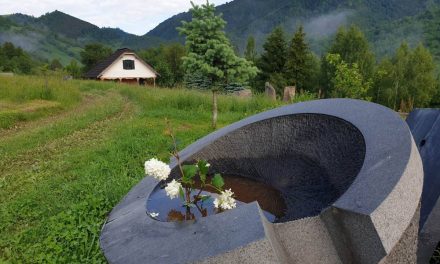 Ikebana @ land art – MAXONIA