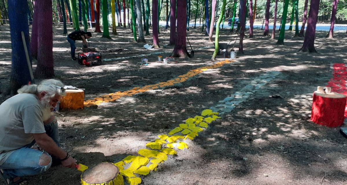 Land Art „Utopia 2020“, Poenari Gorj