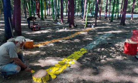Land Art „Utopia 2020“, Poenari Gorj