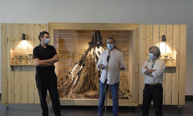 DE CE NE RABDĂ PĂMÂNTUL? EXPOZIȚIE – ARGUMENT @ MUZEUL ANTIPA