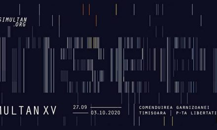 ÎN CĂUTARE DE ARTIȘTI: ASOCIAȚIA SIMULTAN A LANSAT APELUL PENTRU LUCRĂRI VIDEO ÎN CADRUL FESTIVALULUI