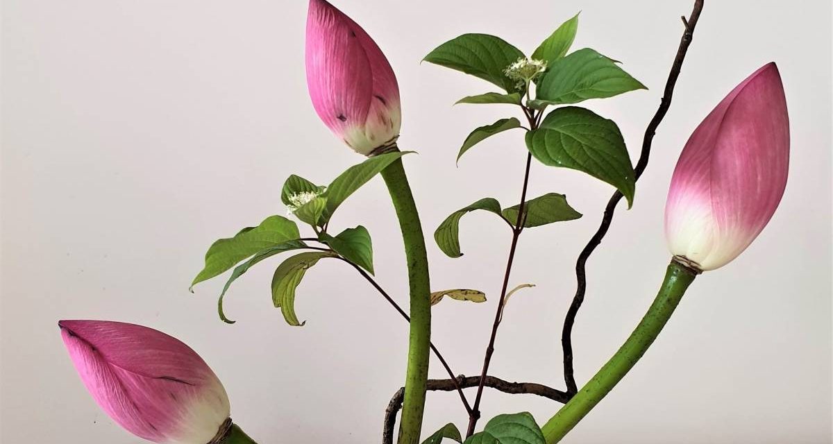 #ikebana
