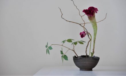 #ikebana