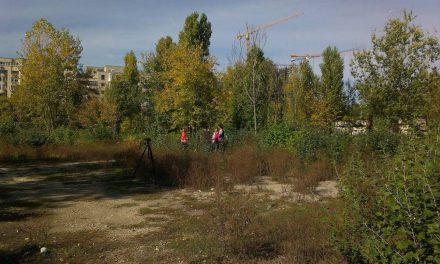 REMINDER APEL PROIECTE ARTISTICE Art and Landscape Narratives 2020/2021